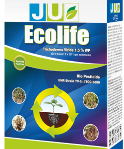 ecolife