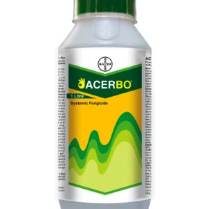 acerbo