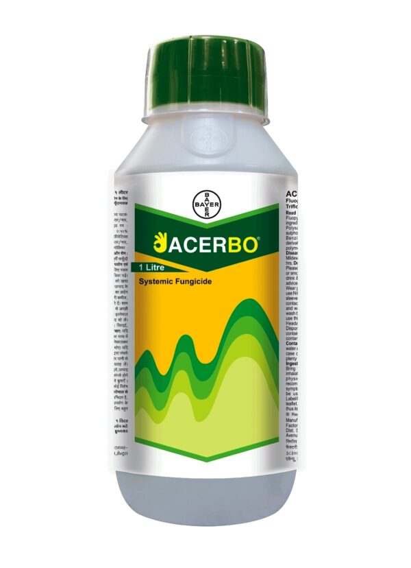 acerbo