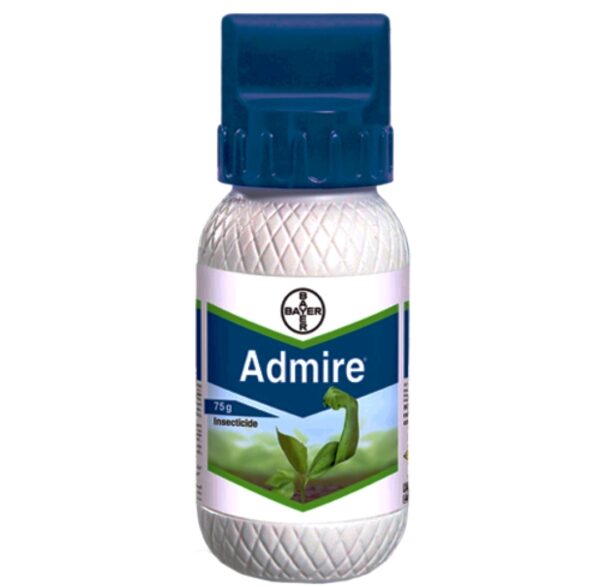 admire