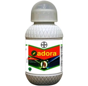 adora