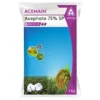 acemain