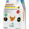 agenor min