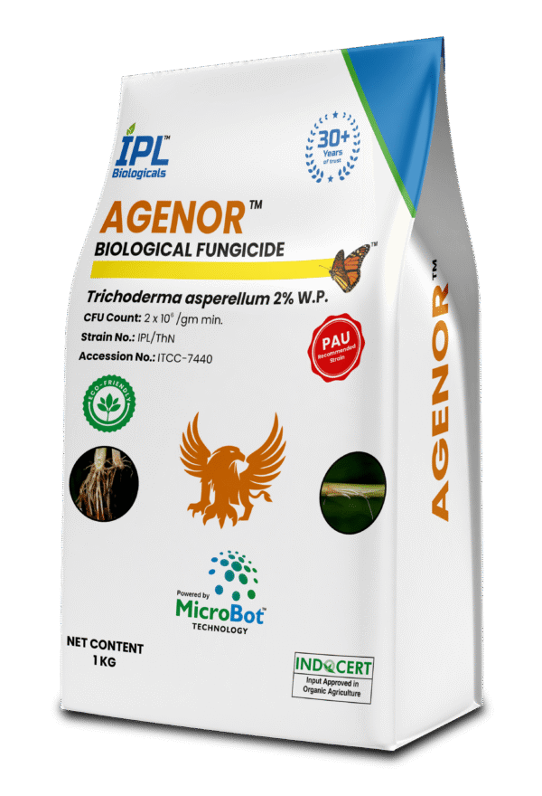 agenor min