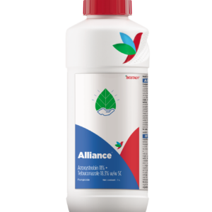 alliance bottle