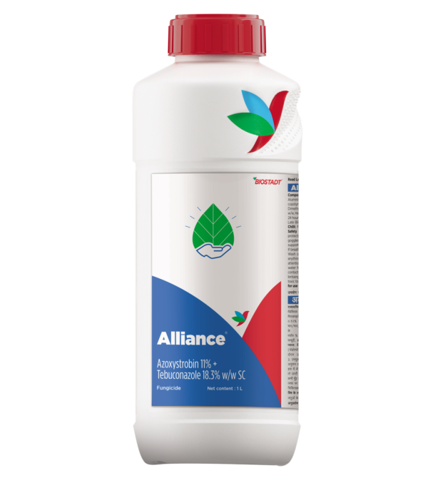 alliance bottle