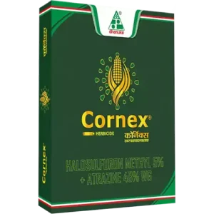 cornex
