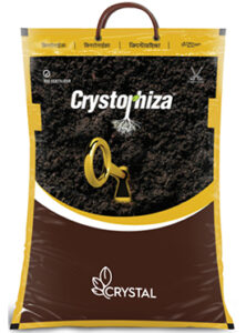 crystorhiza