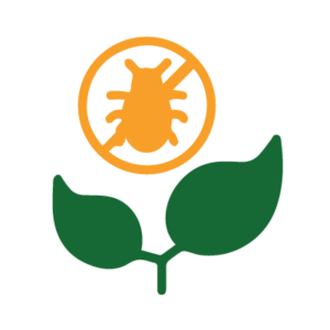Insecticides