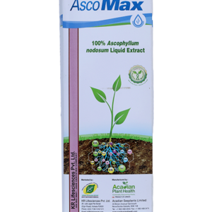ascomax sea weed extract