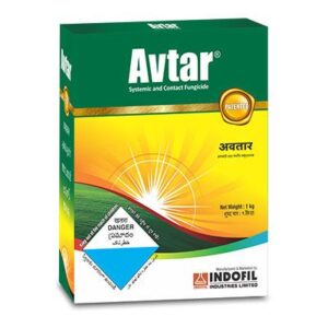 avtar 1