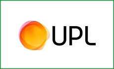 logo 13