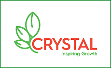 logo 15
