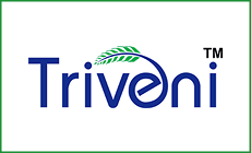 logo 17