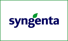 logo 19
