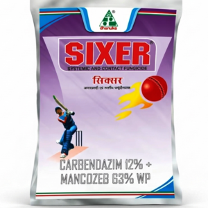 Sixer