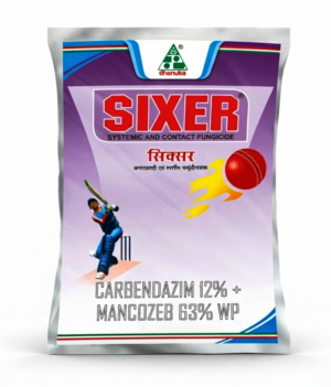 Sixer