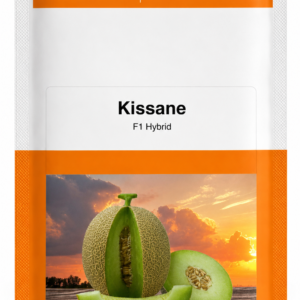 1 kissane
