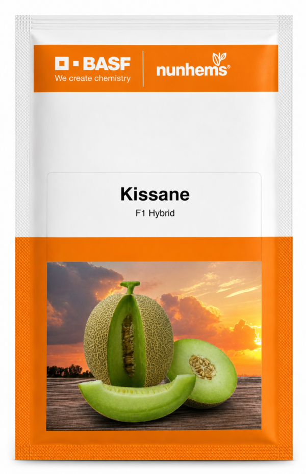 1 kissane