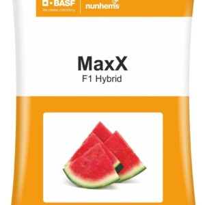 1 maxx