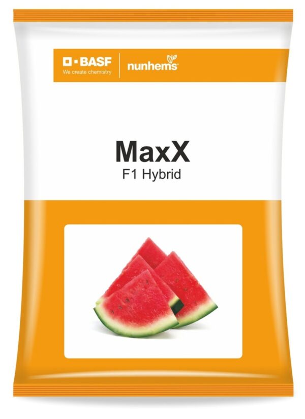 1 maxx