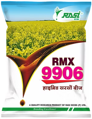 mustard 9906