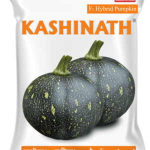 2 kashinath