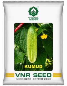 2 vnr kumud