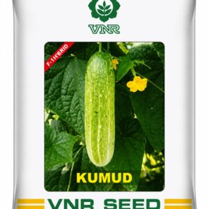 2 vnr kumud