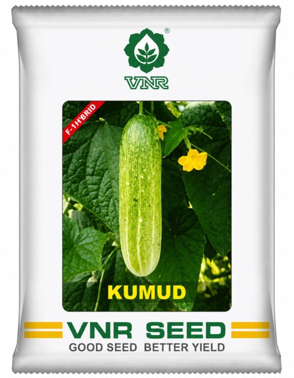 2 vnr kumud
