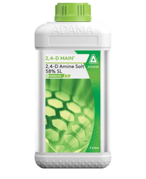 2,4-D Main