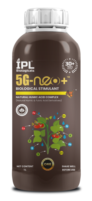 IPL 5G Neo+