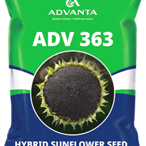 adv363