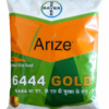 arize 6444 gold paddy seed