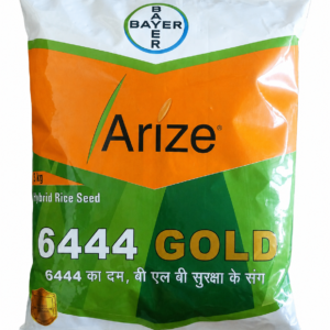 arize 6444 gold paddy seed