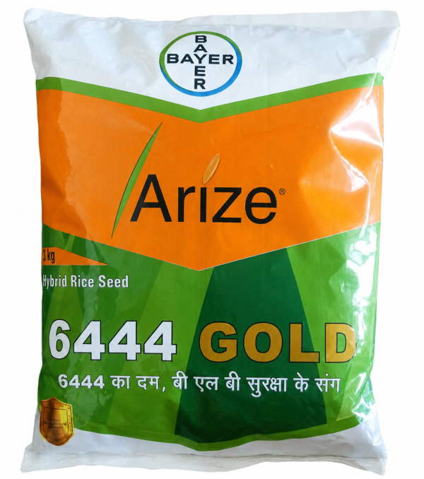 arize 6444 gold paddy seed