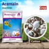 acemain