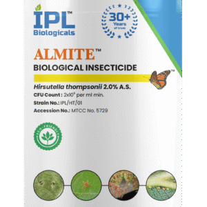 almite