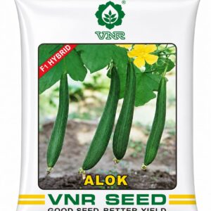 alok vnr