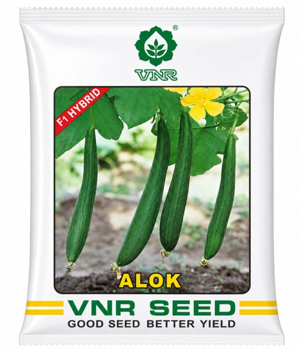 alok vnr