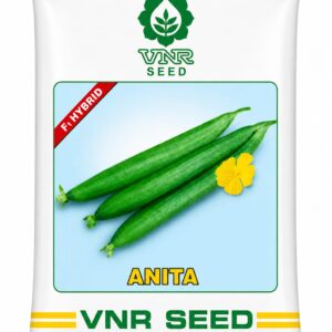 anita vnr