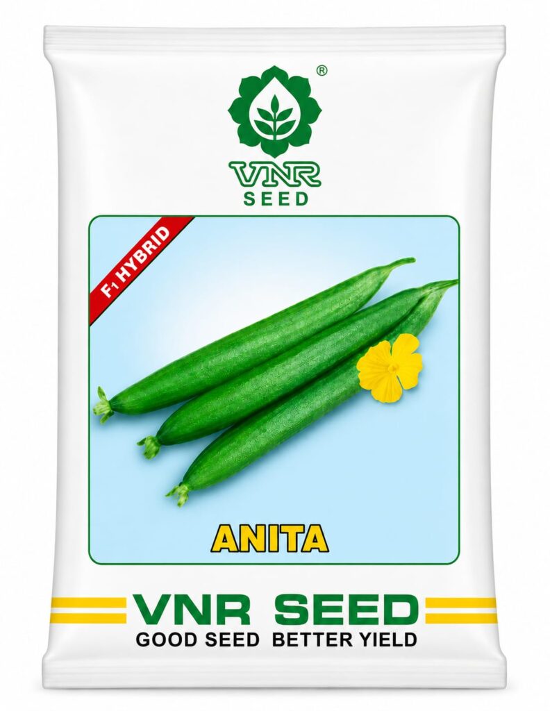 anita vnr