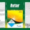 avtar