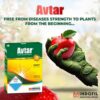 avtar