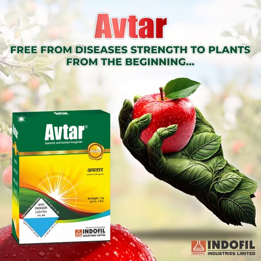 avtar