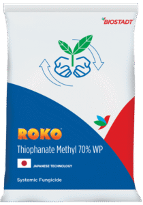 biostudd roko