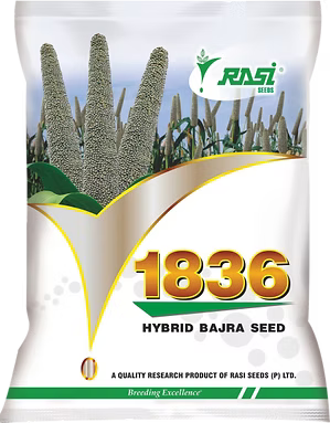 bajra 1836
