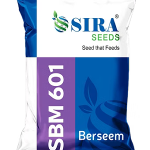 barseem sbm 601