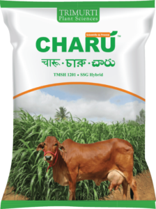 charu 3d pouch 600x802