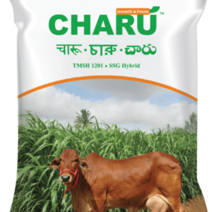 charu 3d pouch 600x802